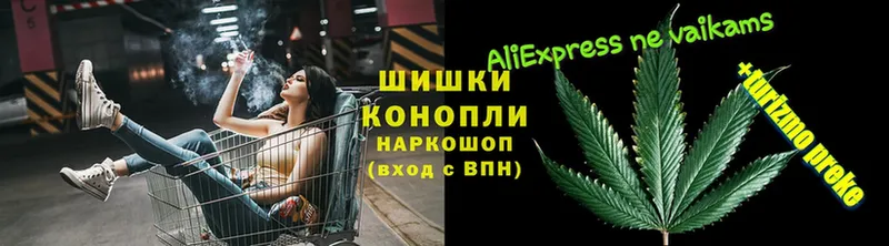 наркотики  Верхняя Салда  Каннабис Ganja 